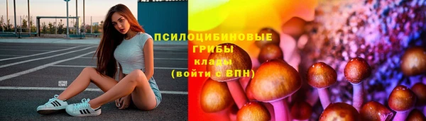 не бодяженный Алзамай