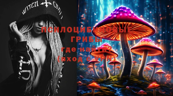 не бодяженный Алзамай