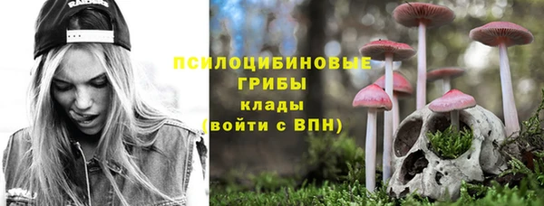 не бодяженный Алзамай